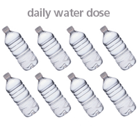 8 water bottles showing the correct daily amount of water